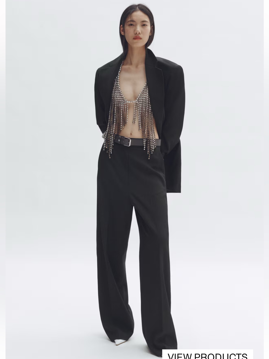 Stella Mccartney X H&M Tailored Wool Pants